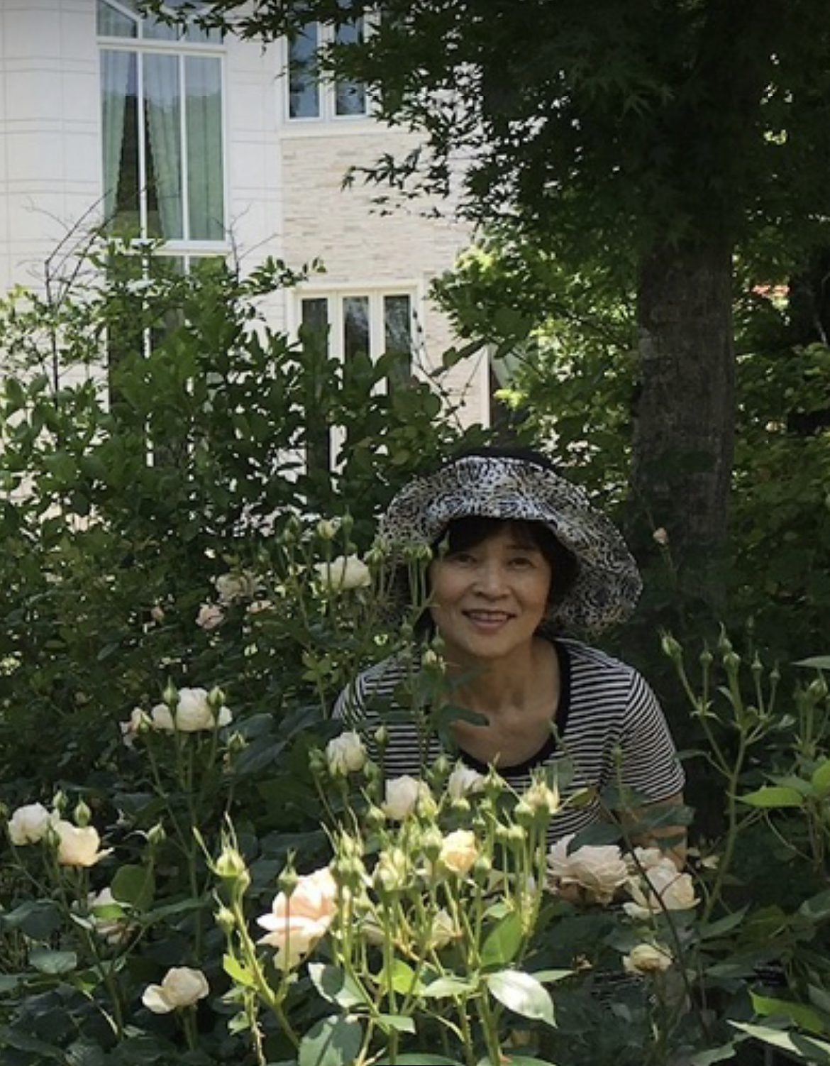 横尾節子の写真