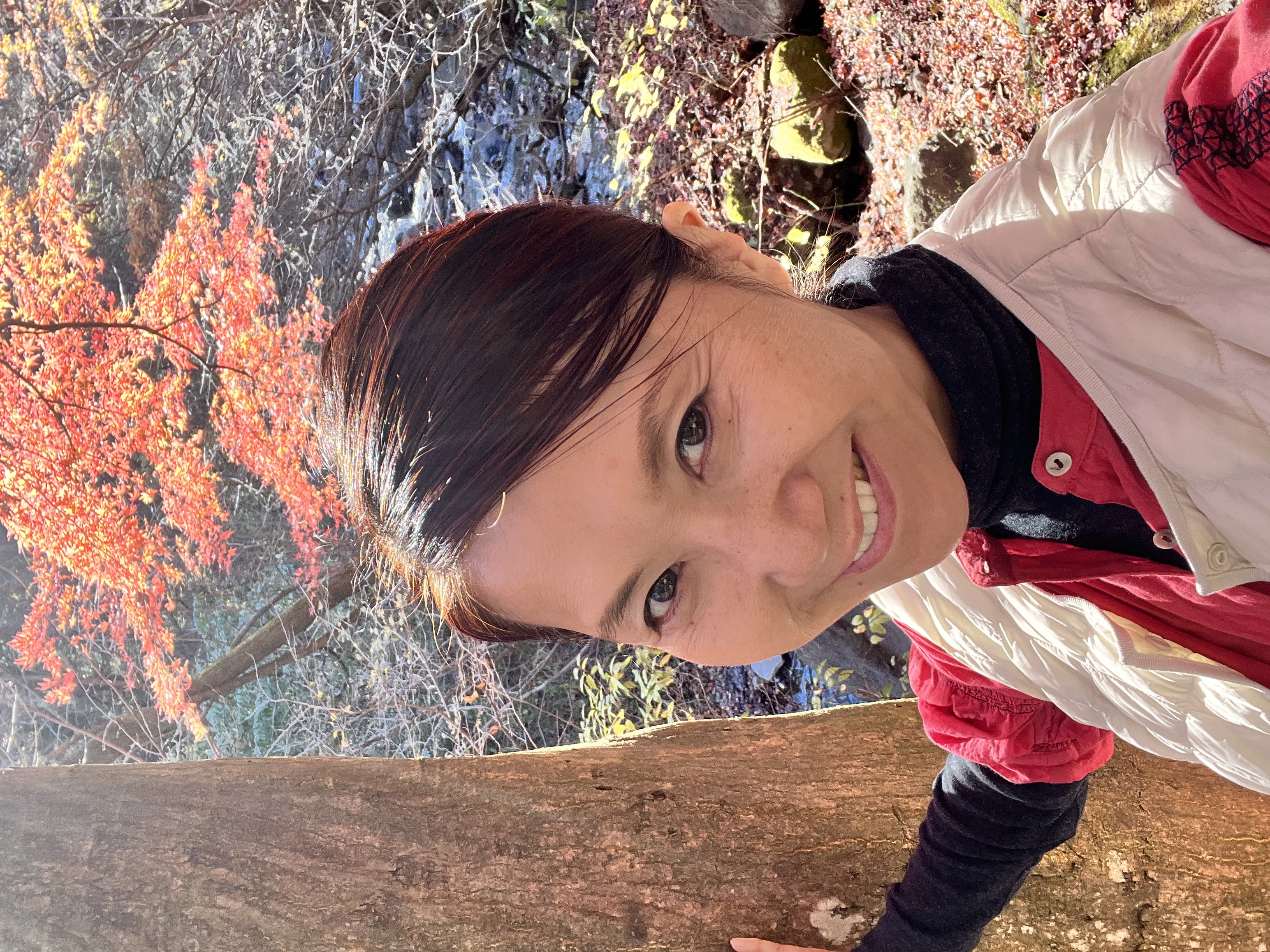 渡邊栄美子の写真